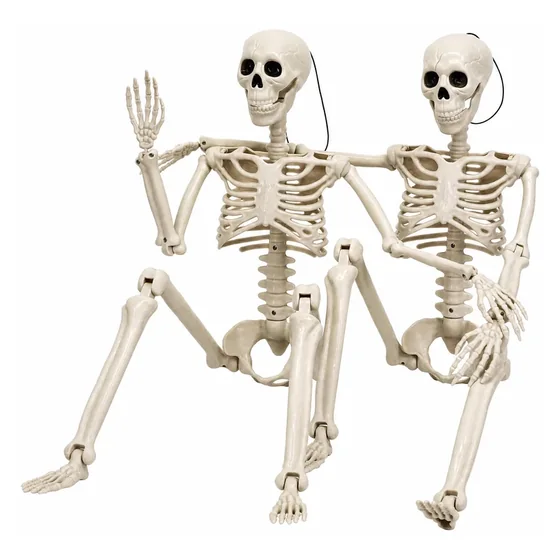 Marrowgate 3 ft Skeleton, 2 pack, closer in