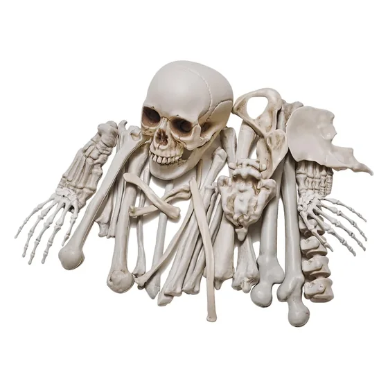 Nightfell Loose Bones, 28 pieces, closer in