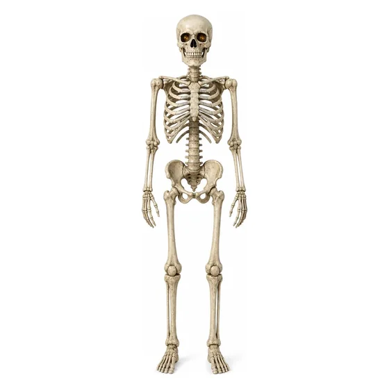 Nightwatch 7 ft Poseable Skeleton, closer in
