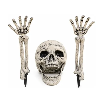 Ravenmoor Groundbreaker, studio packshot on white