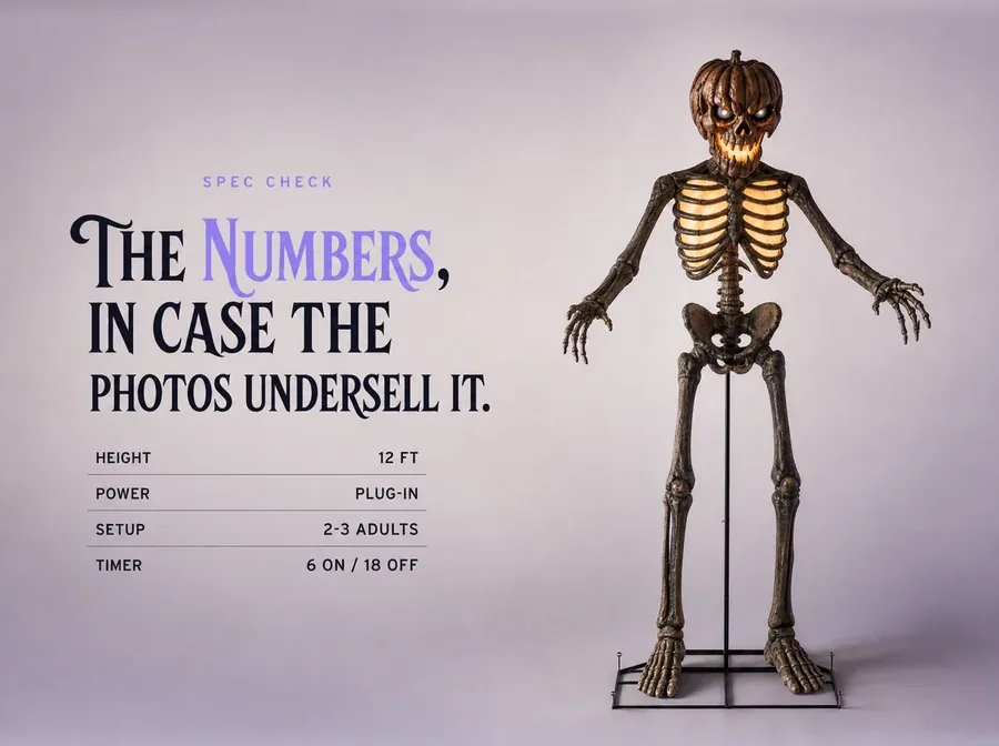 Studio shot of the standing skeleton beside a small spec card listing height, power and setup.