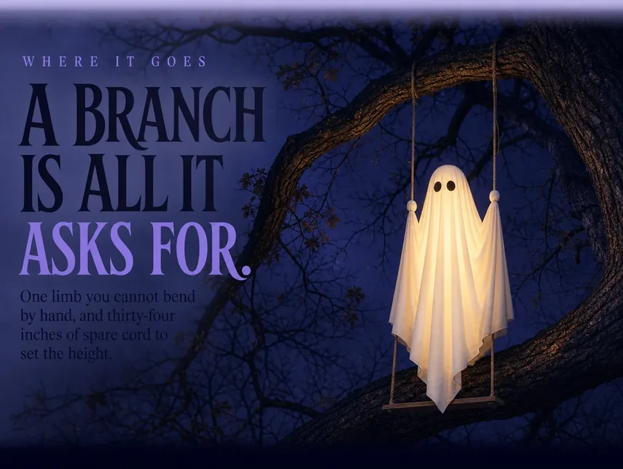 Low angle at night looking up: the lit ghost hanging from a thick limb of a bare oak