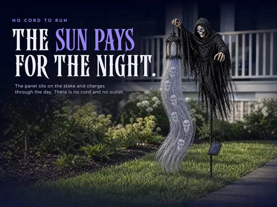 Daylight along the stake, the small solar panel catching sun and the strands unlit